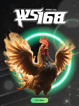Đá Gà PP881